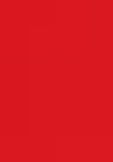 Red Digital Printed Heavy Rayon Anarkali Dress