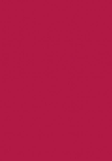 Red Digital Printed Chinon Anarkali Dress With Dupatta