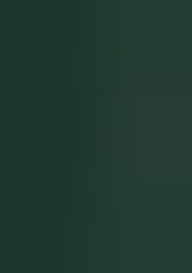 Multicolor Embroidery Georgette Gown With Dupatta - Indya