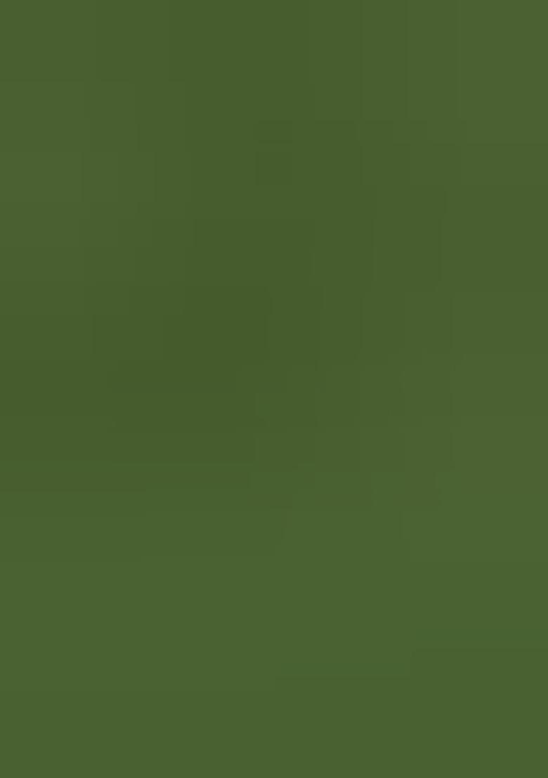 Mahendi Embroidery Silk Salwar Kameez With Dupatta - Indya