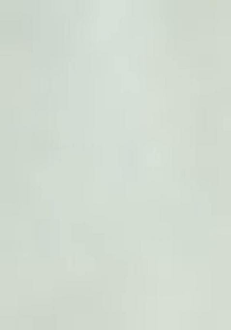 See Green Printed Summer Cool Dresses