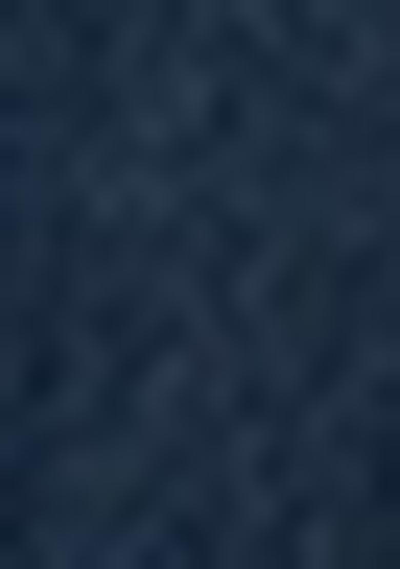 Blue Embroidered Cotton Dresses