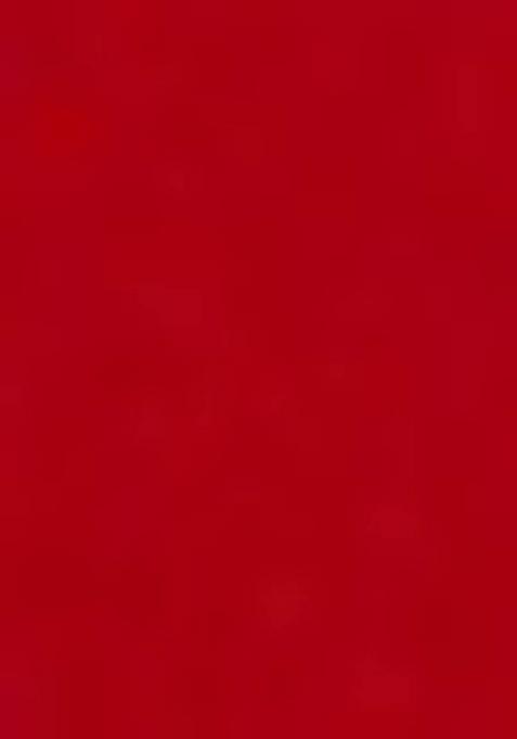 Red Embroidered Polyester Dresses