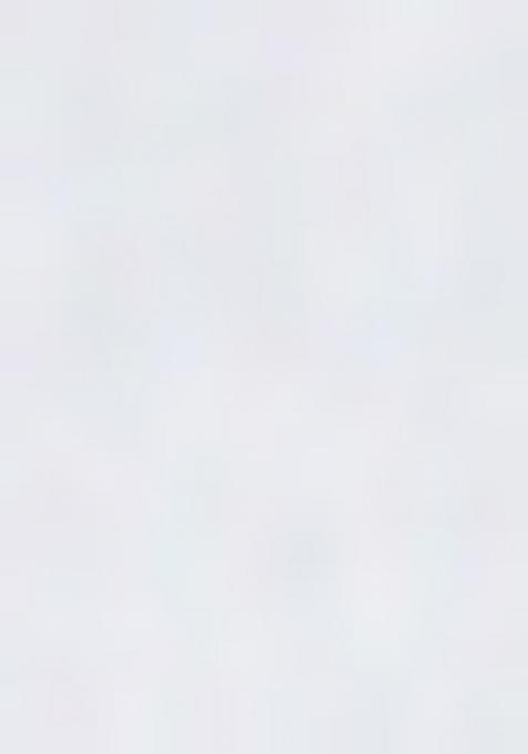 Brown embroidered Cotton Dress