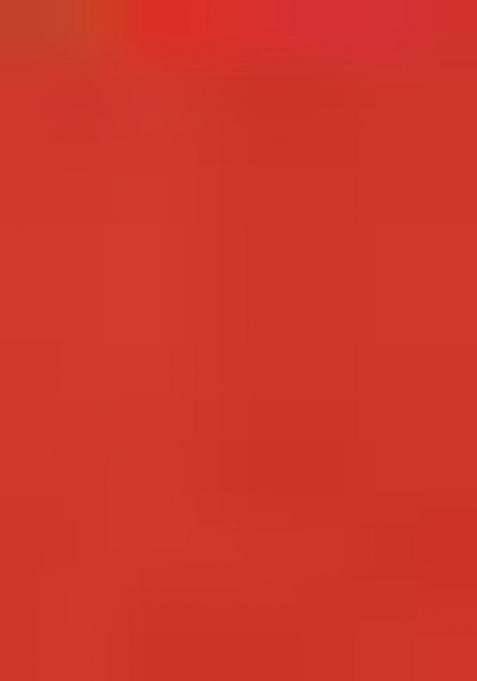 Maroon Georgette Printed Anarkali