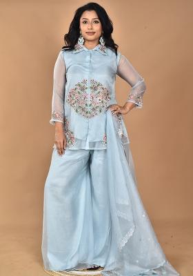 Sky Blue Hand Embroidery Art Organza Palazzo Set