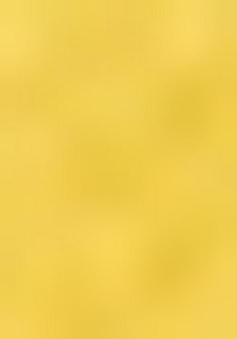 Yellow Hand Embroidery Art Organza Crop Top