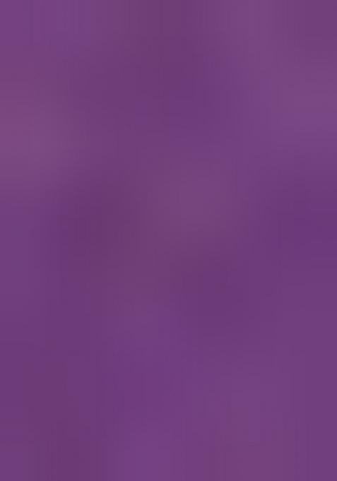 Purple Hand Embroidery Art Organza Crop Top