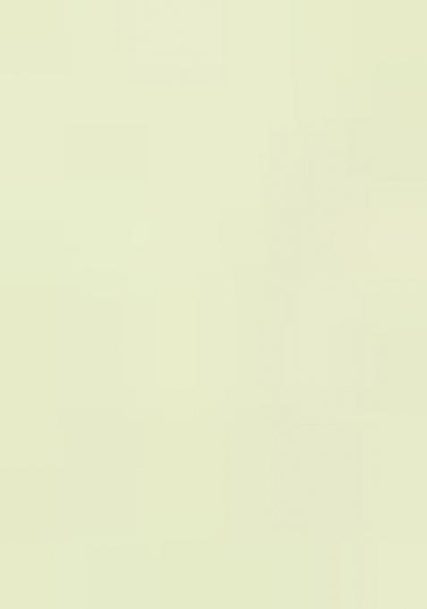 Green Hand Embroidery Natural Crepe Art Organza Crop Top