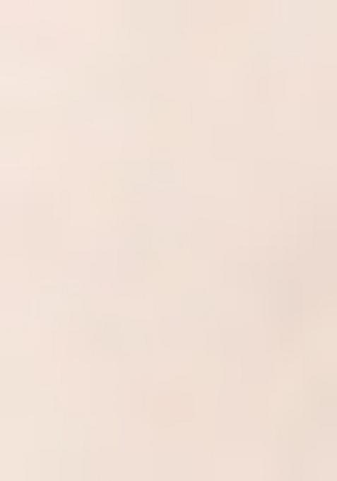 Light Peach Hand Embroidery Natural Crepe Art Organza Crop Top