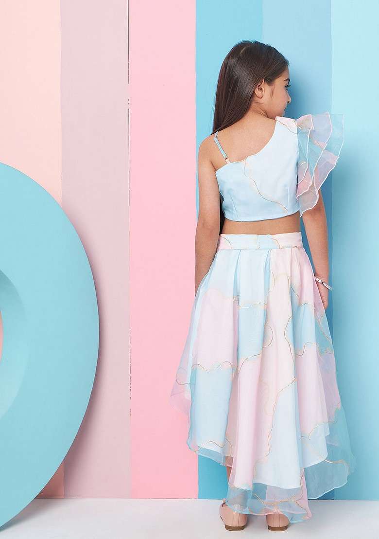 Pink Printed Organza Top With Skirt (Set of 2) - Indya