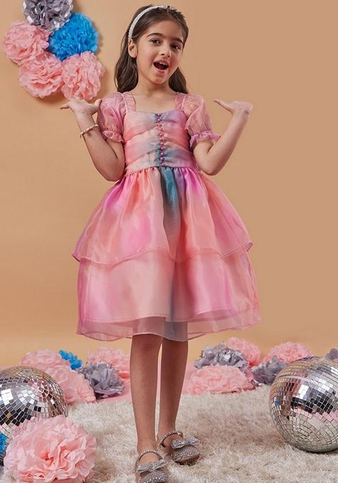 Multicolour Organza Dress