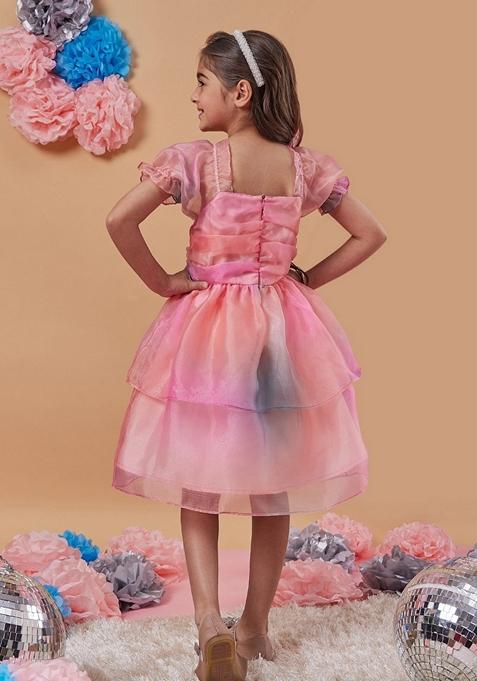 Multicolour Organza Dress