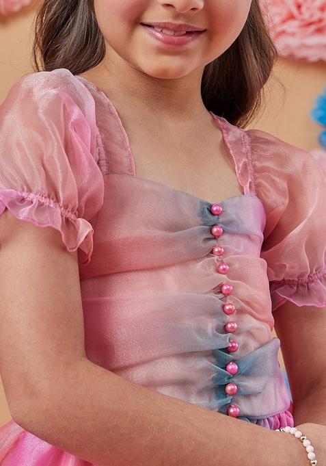 Multicolour Organza Dress