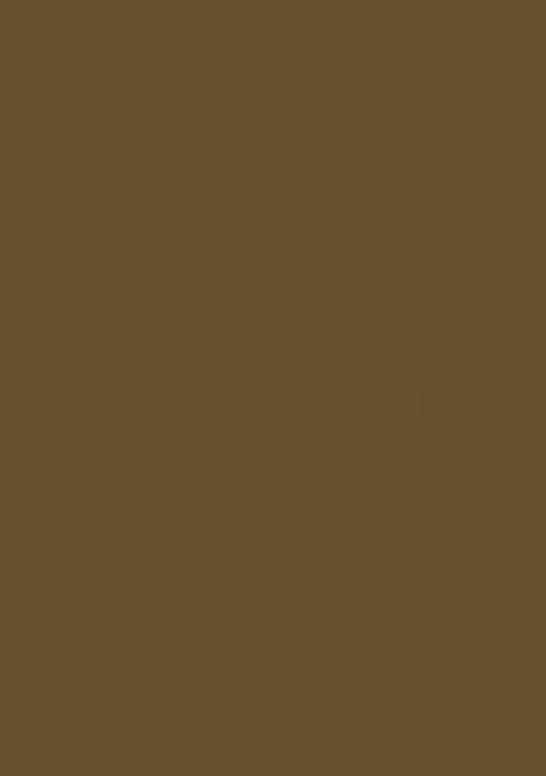 Green Embroidererd Georgette Anarkali Set With Dupatta For Girl