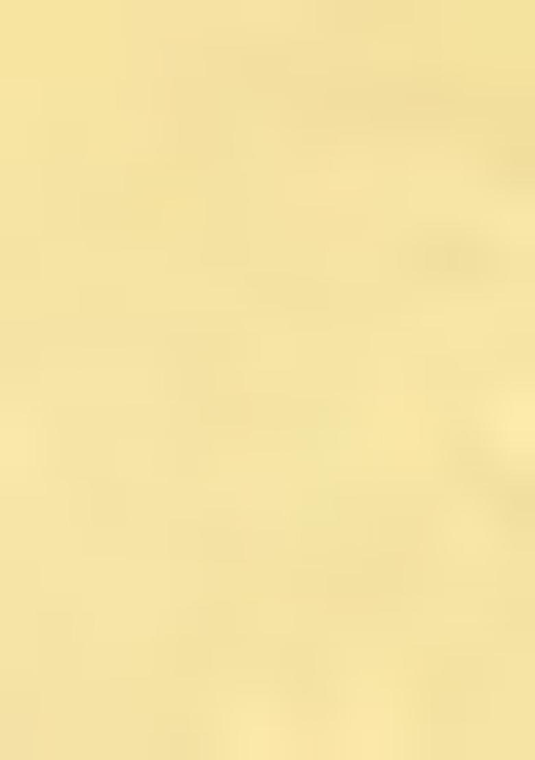 Yellow Floral Cotton Blend Dress With Shrug For Girls