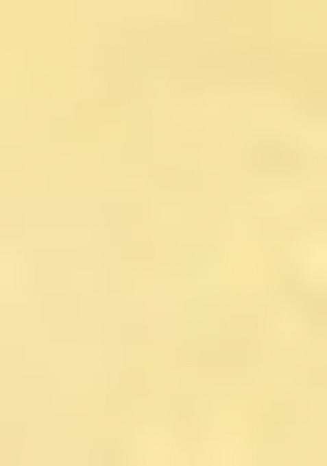 Yellow Floral Cotton Blend Dress With Shrug For Girls