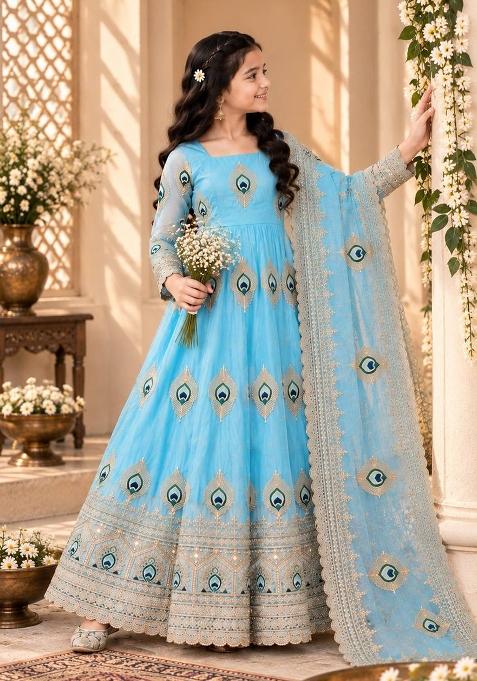 Light Blue Embroidered Silk Gown Set For Girls
