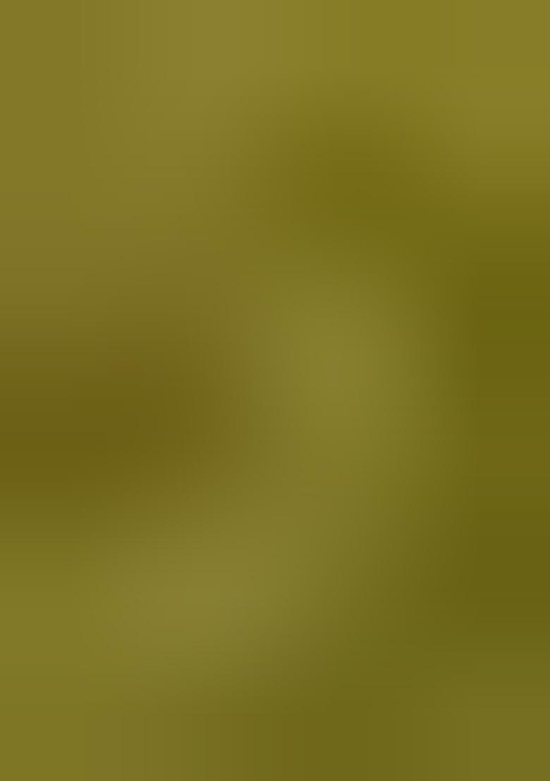 Green Printed  Cotton Sharara Set With Dupatta For Girls