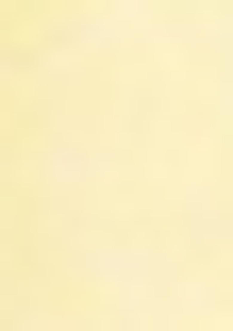 Yellow Floral Cotton Blend Kurta Set For Girls