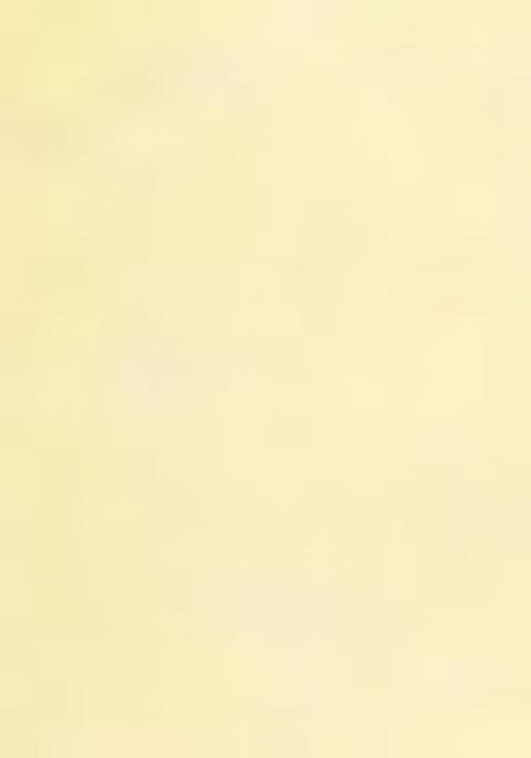 Yellow Floral Cotton Blend Kurta Set For Girls