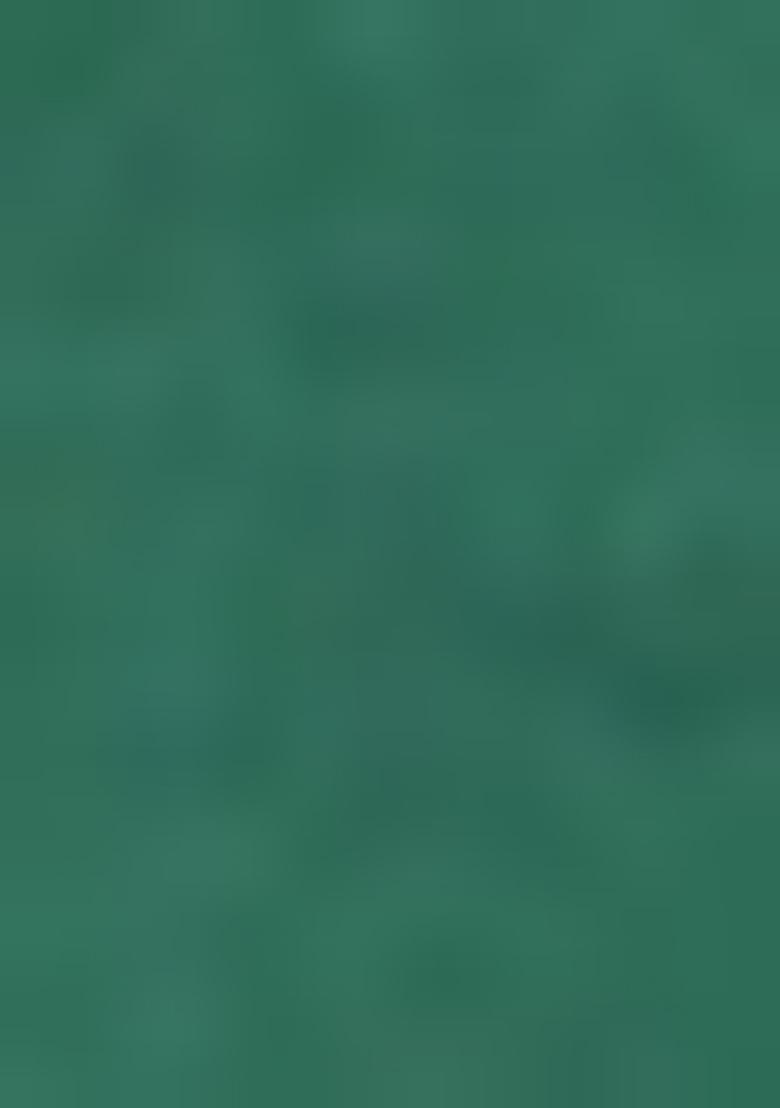 Bottle Green Embroidered Dupion Silk Salwar Kameez For Girls