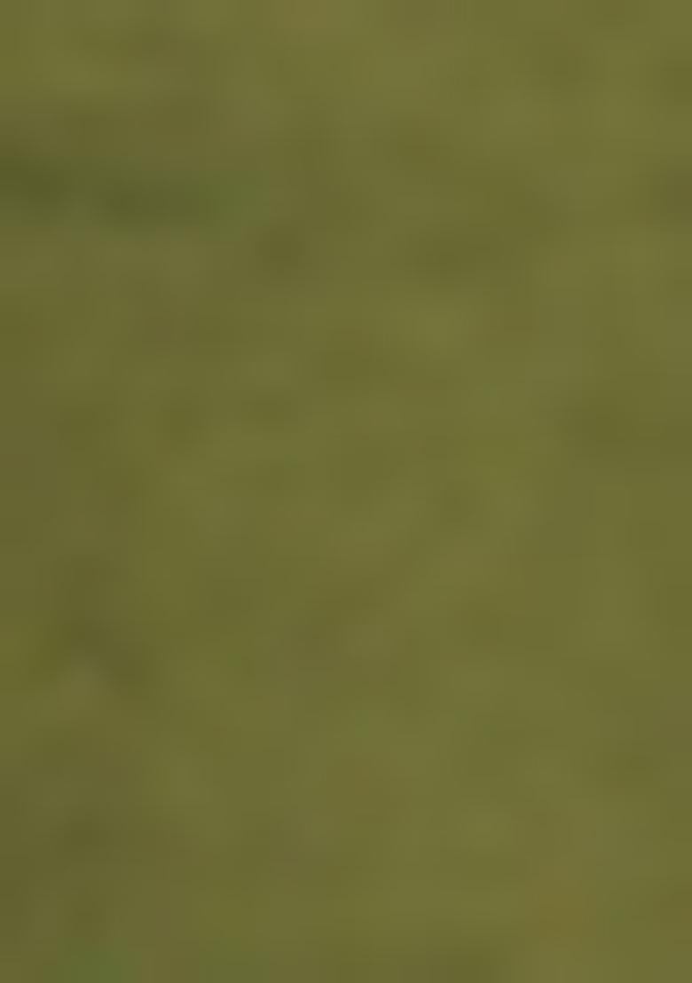 Mehandi Green Embroidered Dupion Silk Salwar Kameez For Girls