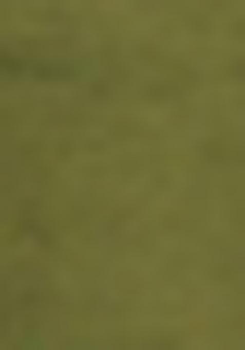 Mehandi Green Embroidered Dupion Silk Salwar Kameez For Girls