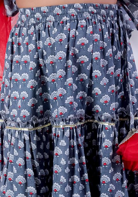 Grey Jaipuri Print Lehenga With Blouse And Dupatta (Set of 3)