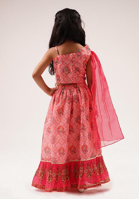 Pink Digital Print Embroidered Lehenga With Blouse (Set of 2)