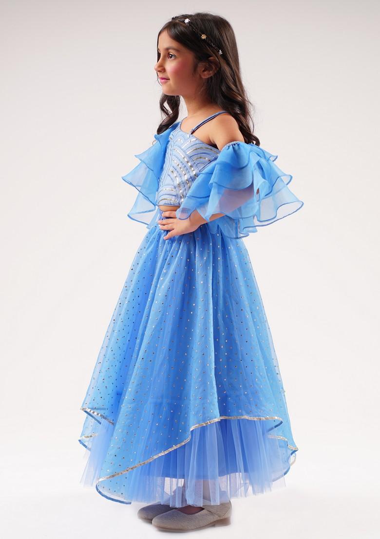 Blue Embroidered Ghagra With Blouse (Set of 2)