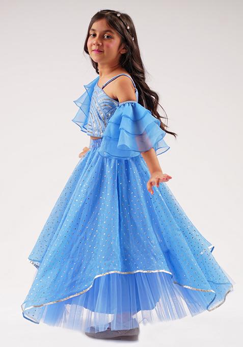 Blue Embroidered Ghagra With Blouse (Set of 2)