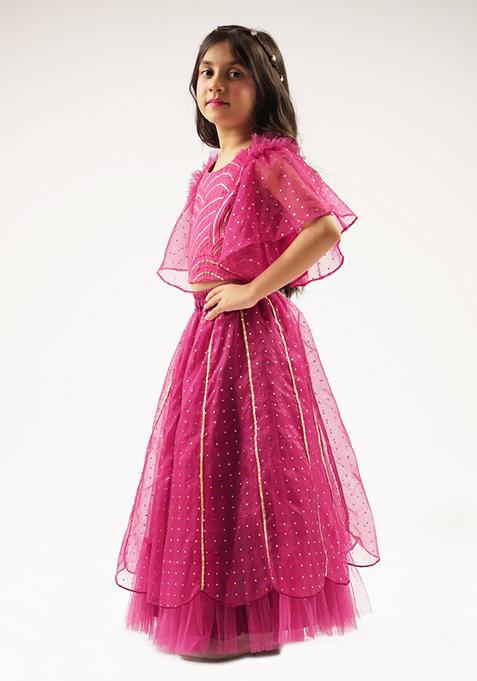 Wine Embroidered Ghagra With Blouse And Dupatta (Set of 3)