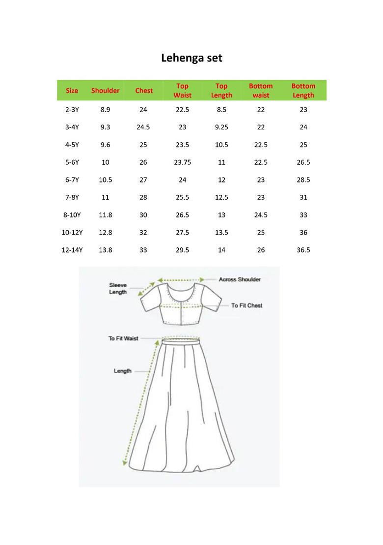 Blue Printed Lehenga With Blouse (Set of 2)