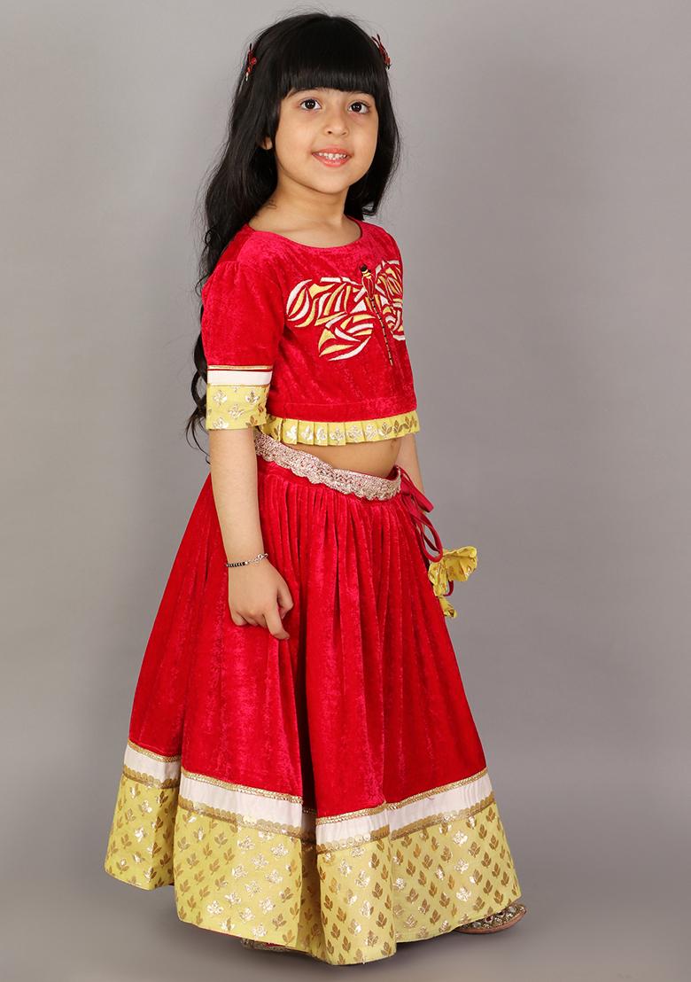 Pink Embroidered Velvet Lehngas For Girls