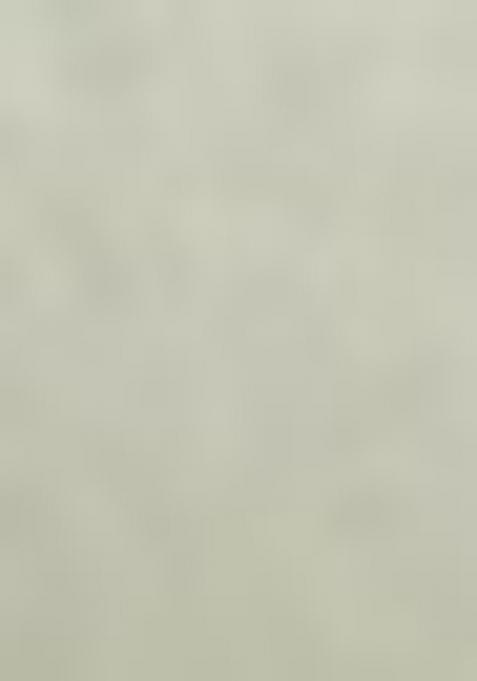 White Digital Print With Embroidery Work Chinon Silk Lehenga Choli For Girls