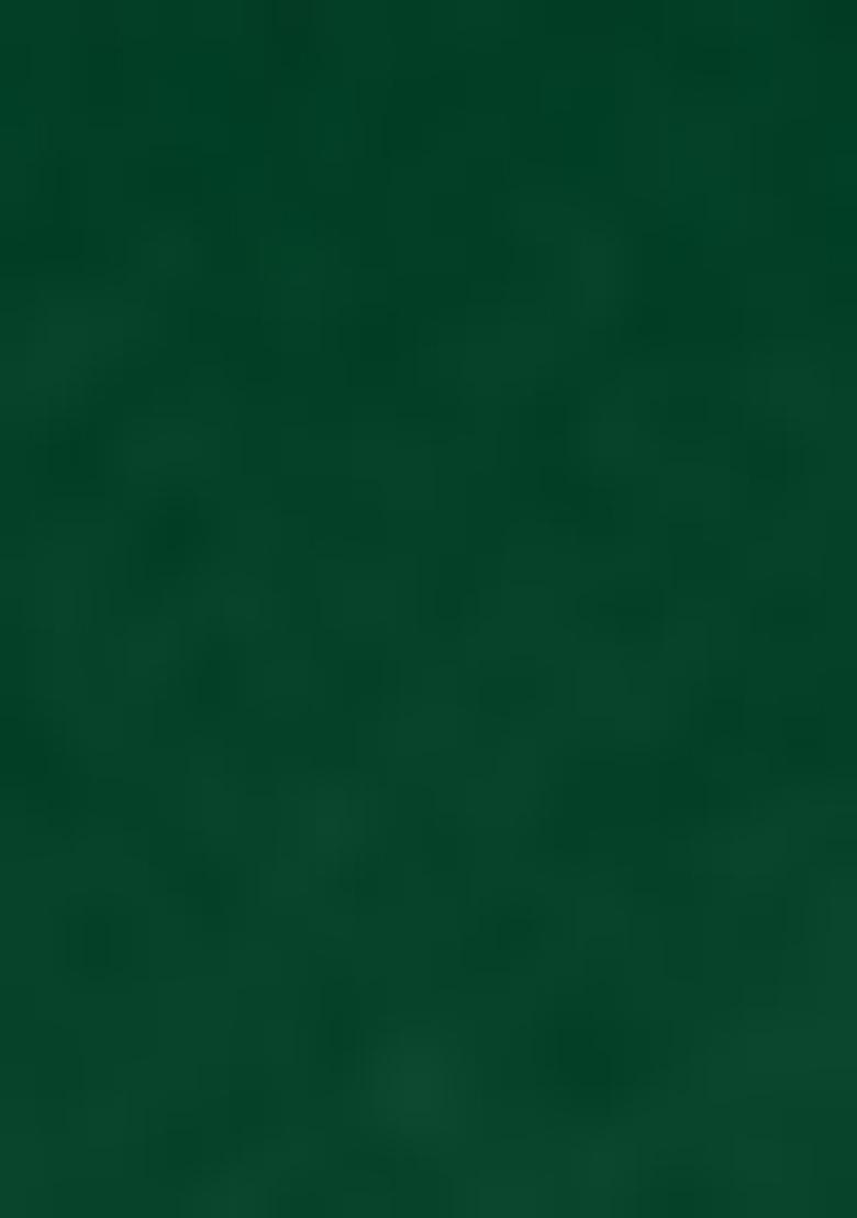 Green Embellished And Sequined Poly Blend Saree Set For Girls