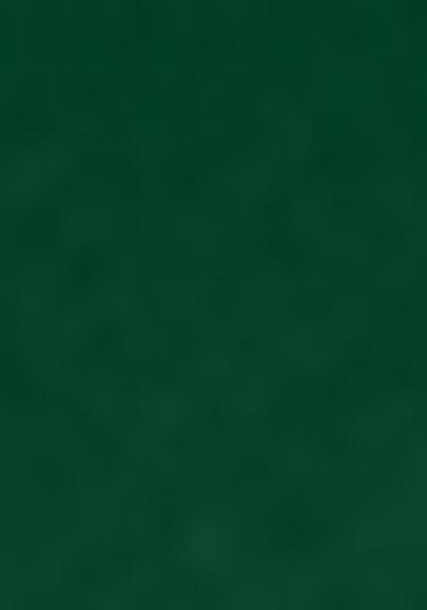 Green Embellished And Sequined Poly Blend Saree Set For Girls