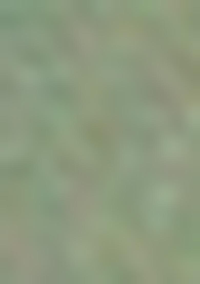 Green Embellished And Sequined Poly Blend Saree Set For Girls