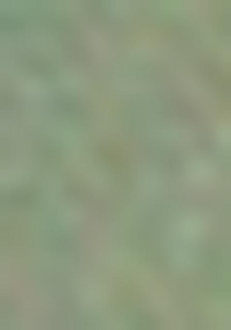 Green Embellished And Sequined Poly Blend Saree Set For Girls