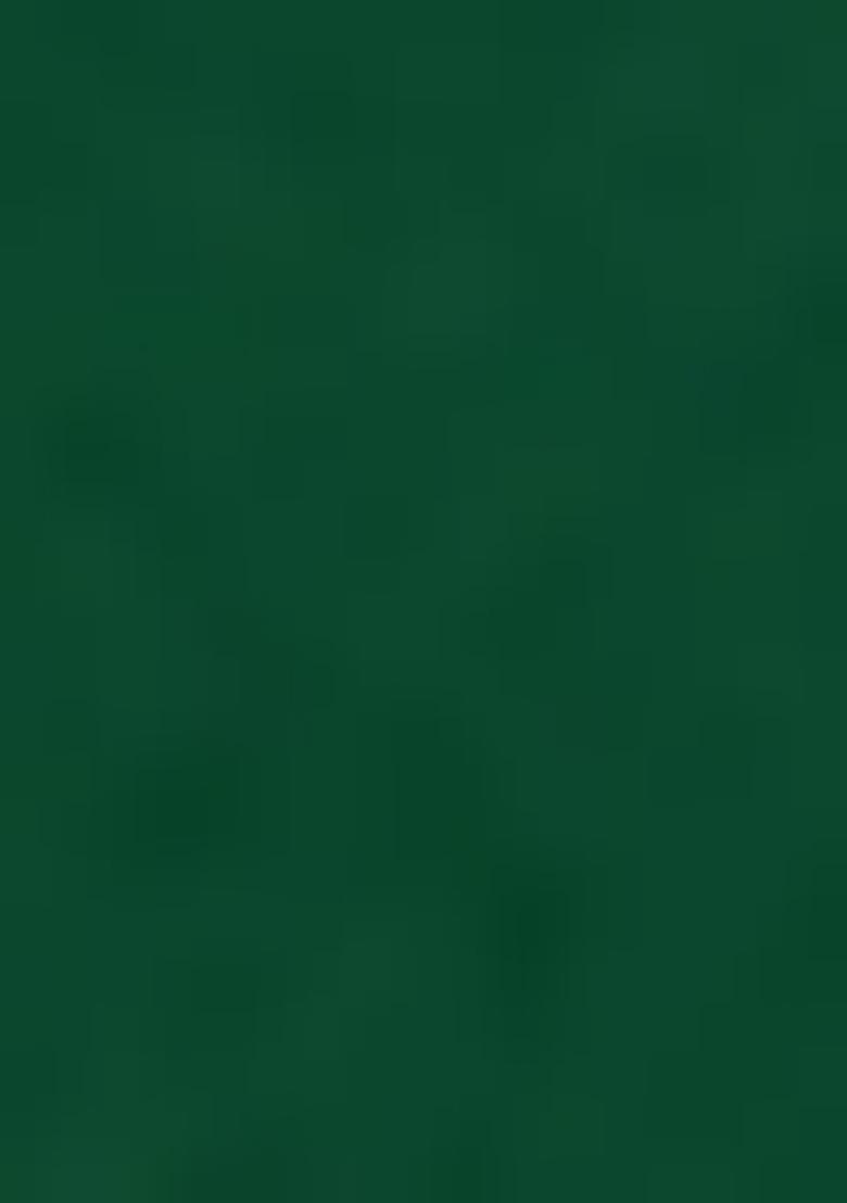 Green Embellished And Sequined Poly Blend Saree Set For Girls