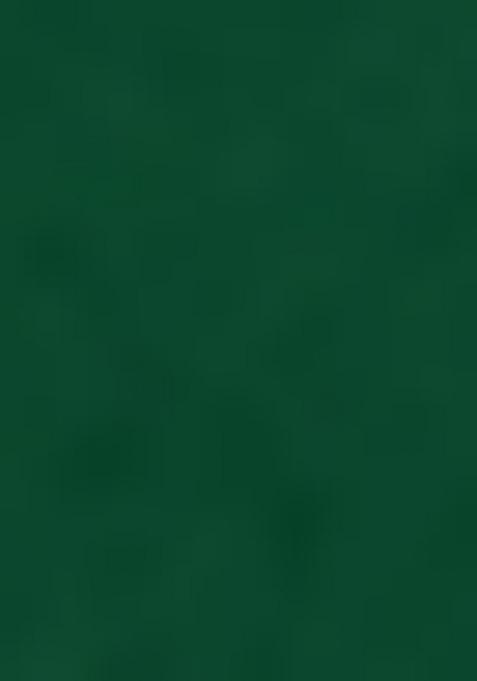 Green Embellished And Sequined Poly Blend Saree Set For Girls