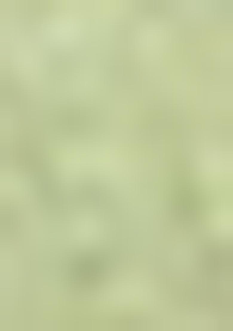 Pista Green Embellished And Sequined Poly Blend Saree Set For Girls