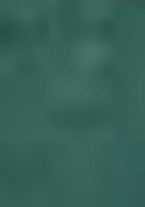 Green Embellished And Sequined Poly Blend Saree Set For Girls