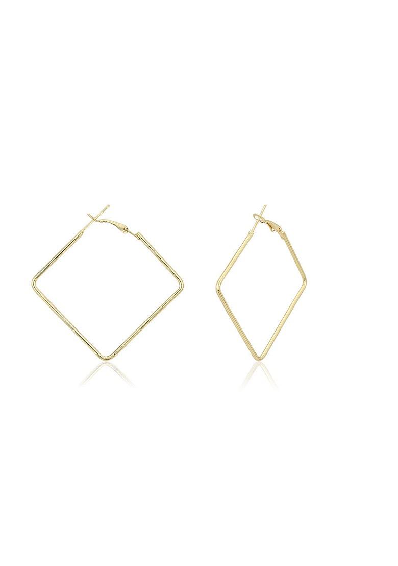 Multicolour Contemporary Earrings