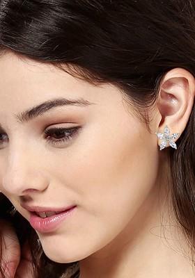 Silver Solid Jewellery Earrings