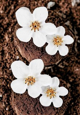 Gold Studs Gold Plated Earrings