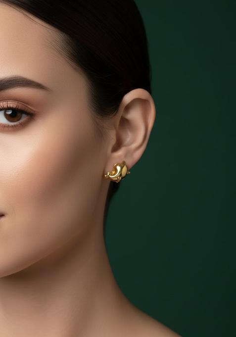 Golden Stainless Earrings Set