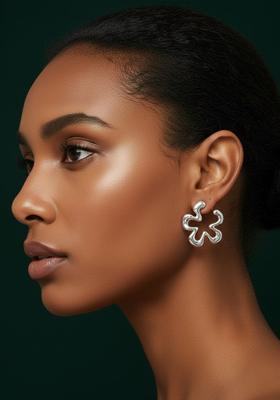 Silver Stainless Earrings Set