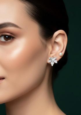 Silver Stainless Earrings